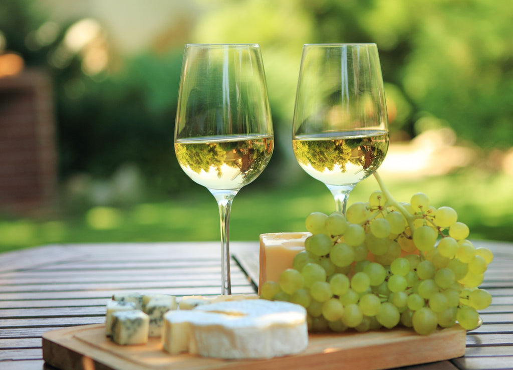 Diferencias entre copas de vino tinto y vino blanco – Sobrelias