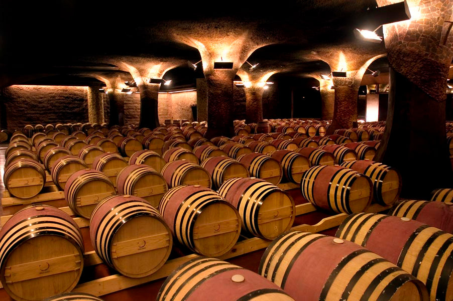 ¿Cómo se elaboran las barricas para envejecer el vino?