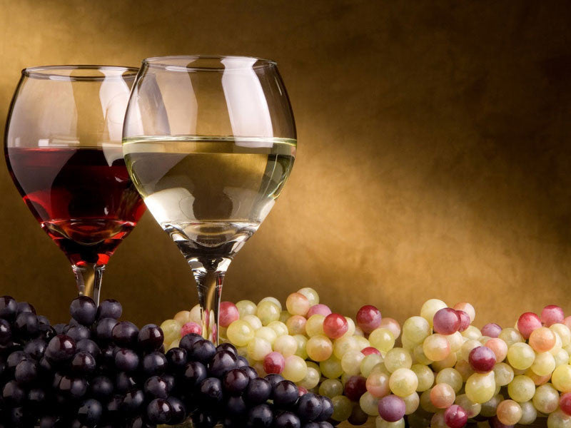 ¿Cómo influye la forma de la copa para disfrutar cada tipo de vino?